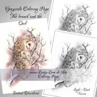 Grayscale Coloring Page The Branch and the Barn Owl Wings Feather Fantasy Bird Zindy Nielsen