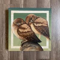 12x12 Cuddling Owls Painting