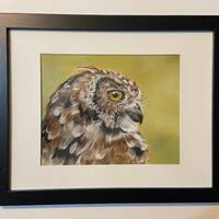 Original Pastel Painting of Owl Free Priority Shipping in the US