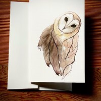 Barn Owl Greeting Cards - Original Watercolor Art, Set of 5