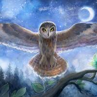 Spirit Owl   5x8  on  8x10  or 7x9 on 10x12and more