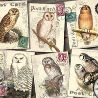 Vintage Owl Postcards: Shabby Collage, Junk Journal Cards (Digital Download)