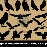 Owl SVG - Owl Silhouette - Owl Bundle SVG - Owl Clipart- Owl Cut File - Owl Vector Instant Download