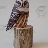 Saw Whet Owl Woodcarving
