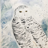 Snowy Owl - Original Art - Snowy Owl Art - Snowy Owl Watercolor - Owl Painting -Snowy Owl Pine Tree