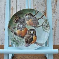 Forty Winks - Saw-Whet Owls - Collectable Knowles china plate - Bradford Exchange 84-K41-114.2 - Wil