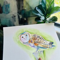 Barn Owl Watercolor - Original Version