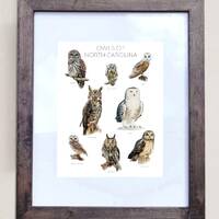 Owls of North Carolina- Print of 8 Owl Oil Paintings