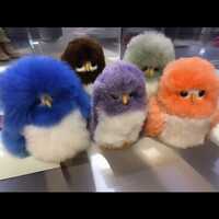 Baby Alpaca Owls & Barn Owls, Soft Handmade Collectibles, Great Room Accent, Perfect Companions 