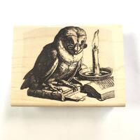 P126 Owl Reading by Candle Light Rubber Stamp