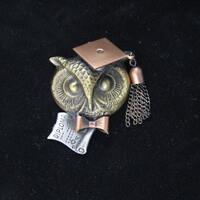 Wise Old Owl Brooch