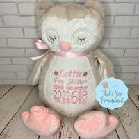 Personalised Embroidered Owl Teddy Bear Soft Toy, New Baby Birth Keepsake Gift