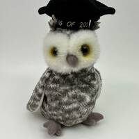 Ty Beanie Baby “Smart” the 2001 Graduation Owl (6 inch)