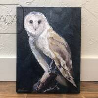 Original Barn Owl Painting: Texas Acrylic Art, 12x16