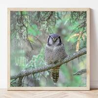 Owl Photo-Owl Print-Owl Gifts-Inspirational Quote Print-Forest Décor-Nature Décor-Adve