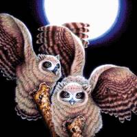 Long-Eared Owls Bead Embroidery Kit, Full Beaded Cross Stitch on Aida Fabric, DIY