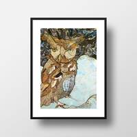 8" x 10"  Eastern Screech Owl | Unframed Print