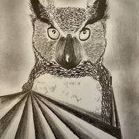 Paper Fan Owl 8x 10 original drawing