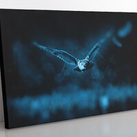 Owl In Flight Canvas Print: Large Framed Wall Art