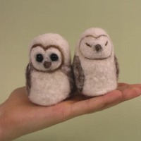 Baby Barn Owl Small Needle Felt Kit by The Makerss