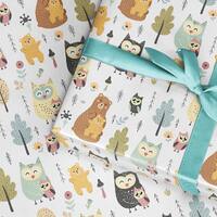 Owl and Bear Childrens Wrapping Paper, Contemporary Gift wrap, Mothers Day wrapping paper, Fathers d