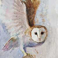 Barn Owl Original Watercolor Painting: Flying Bird Wall Art (12x10)