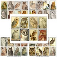 Vintage Owls Junk Journal Ephemera, Owl Print Illustration, Bird Junk Journal, Bird Art, Owl Printab
