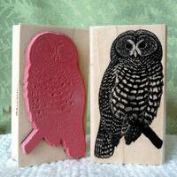 Spotted Owl rubber stamp from oldislandstamps
