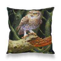 Little Owl Cushion Cover | Julian Friers - Wildlife Artwork - Fine Art - 42cm x 42cm – Made in