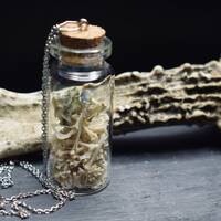 Owl Pellet Bone Vial Necklace - Oddity Jewellery