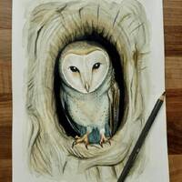 Owl original watercolour "Home". Gift for owl lovers. Owl in tree. Barn owl.