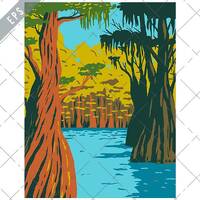 Bald Cypress Growing in Owl Creek Apalachicola National Forest Florida WPA Poster Art Vector eps-EPS