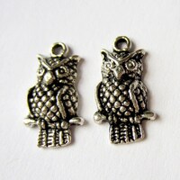 Silver owl charms 10 antique silver owl pendants bird 12mm x 22mm DIY jewelry supply