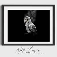 Black and White Owl Art Print: Fine Art Photography