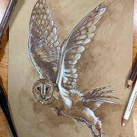 Walnut Owl - Original 8" x 10" Artwork - Hand Drawn Animal Illustration - Realistic barn o