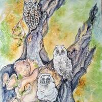 An original long eared owl painting in watercolour and pen, wildlife artwork of birds, fine art long