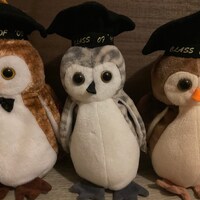 Class of ‘00, ‘99, ‘98 Owl Beanie Babies