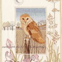 Bothy Threads Derwentwater Designs Wildlife: Barn Owl Counted Cross Stitch Kit by Rose Swalwell