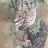 Wall Hanging, Owl, Hand Painted Slate, Welcome Sign