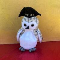 Ty Beanie Babies Wiser Owl: Collectible Plush Toy