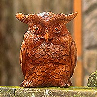 
							Owl Elder, Hand-Carved Suar Wood Owl Sculpture from Bali
						