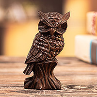 
Wings of Mystery, Hand-Carved Cedarwood Figurine with Owl Motif from Peru
