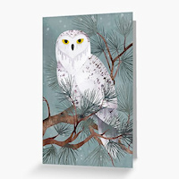 Find Owl Greeting Cards at Redbubble