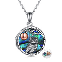 Sterling Silver Owl Locket Necklace Jewelry That Holds Pictures
