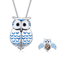 Owl Locket Necklace 925 Sterling Silver Photo Lockets That Holds Pictures Guardian Pendant Necklace 
