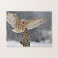 Barn owl landing to spike jigsaw puzzle