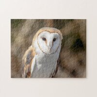 Barn Owl Jigsaw Puzzle