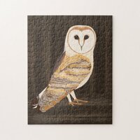 Barn Owl Puzzle