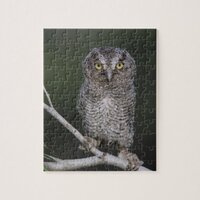 Eastern Screech-Owl, Megascops asio, Otus 2 Jigsaw Puzzle