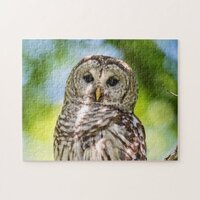 Barred Owl of the Hudson Valley &ndash; Nature & Wildlif Jigsaw Puzzle